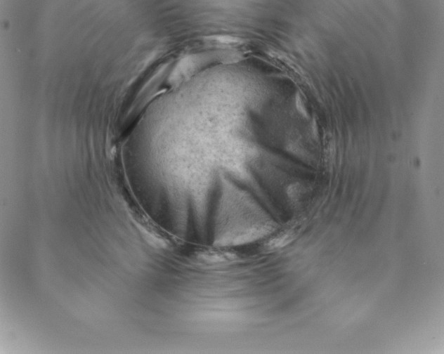 X0000088650712200706081638