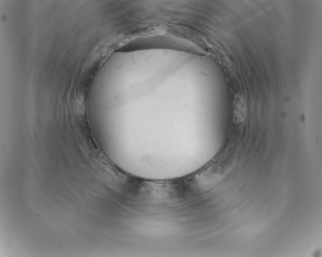 X0000088650713200706081638