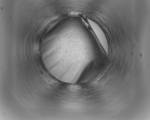 X0000088650714200706081637