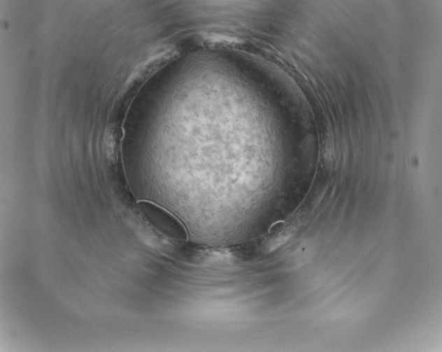 X0000088650715200706081637