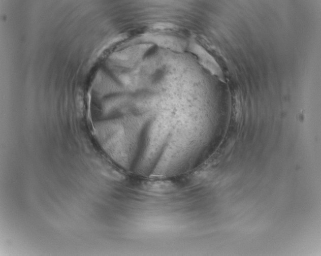 X0000088650716200706081637