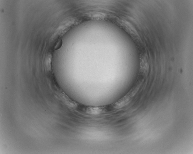 X0000088650717200706081637