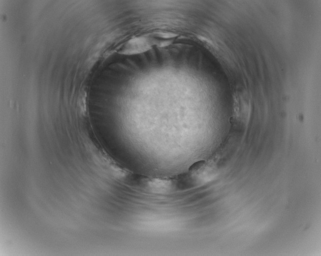 X0000088650718200706081637