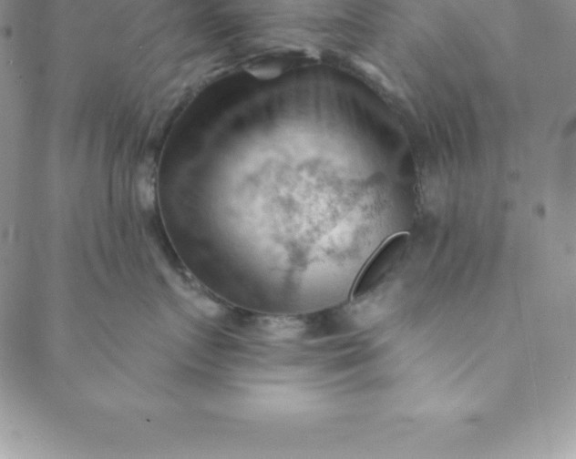 X0000088650719200706081637