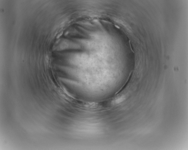 X0000088650720200706081637