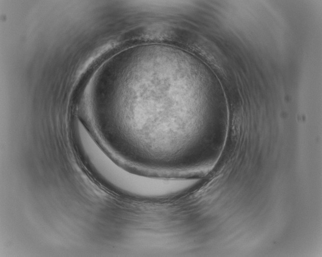 X0000088650722200706081637