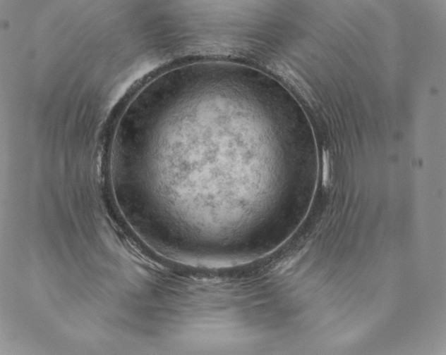 X0000088650723200706081637