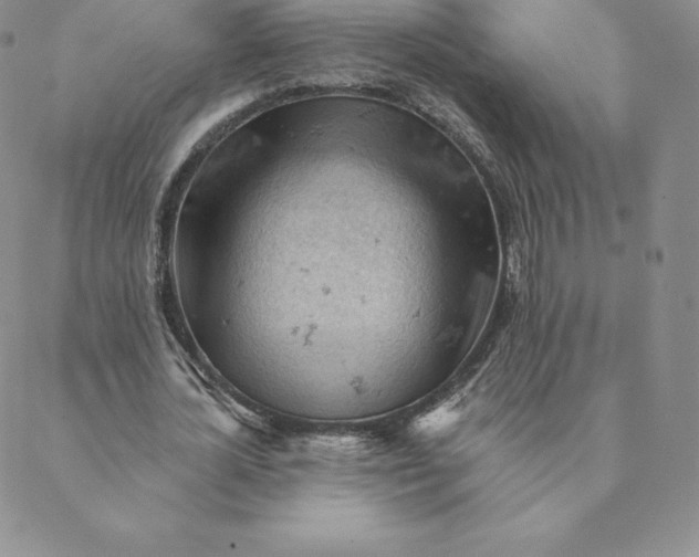 X0000088650724200706081637