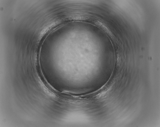 X0000088650725200706081637