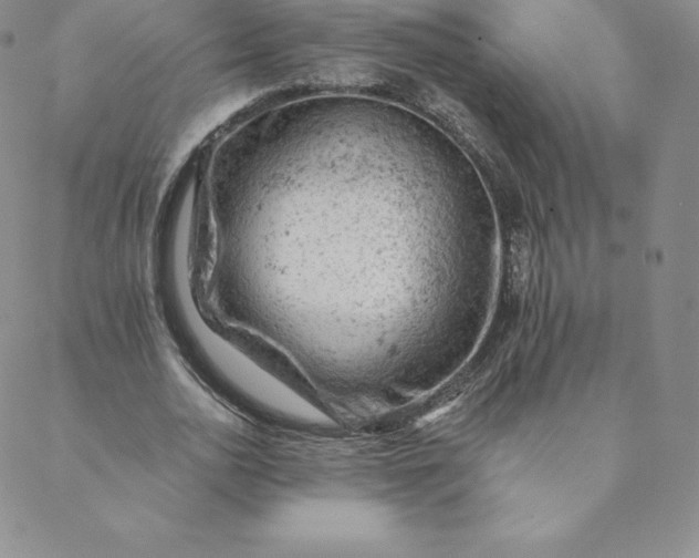 X0000088650726200706081637