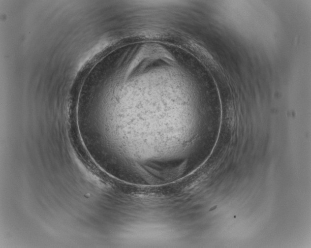 X0000088650730200706081637