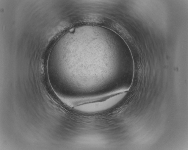 X0000088650731200706081637