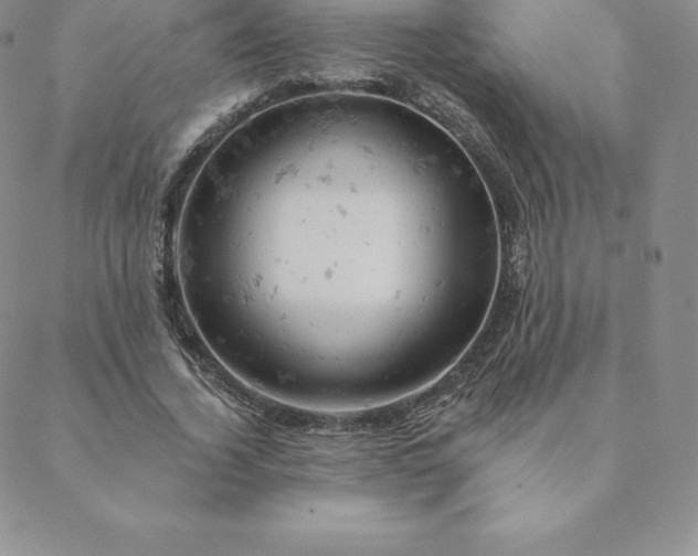 X0000088650732200706081637