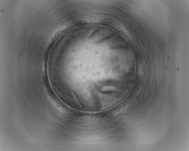 X0000088650733200706081637