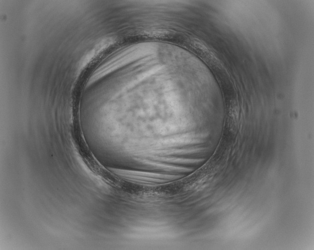 X0000088650734200706081637