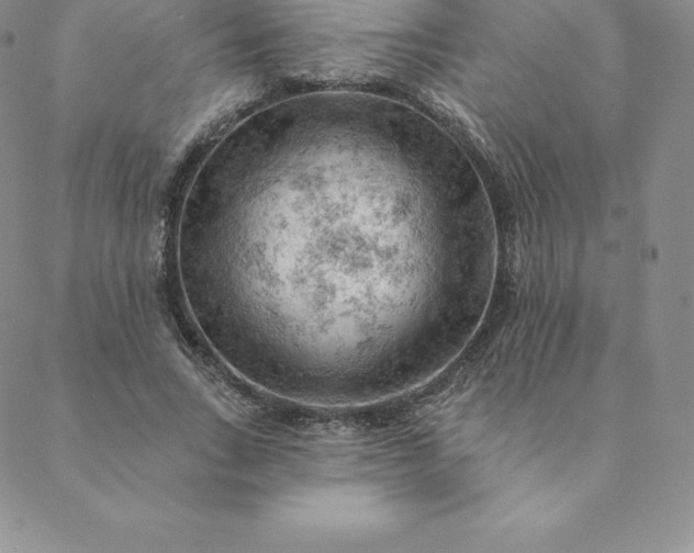 X0000088650735200706081637