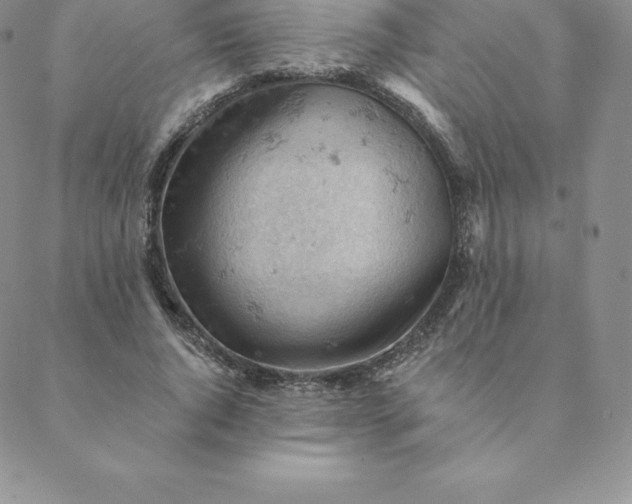 X0000088650736200706081637