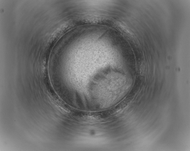 X0000088650737200706081637