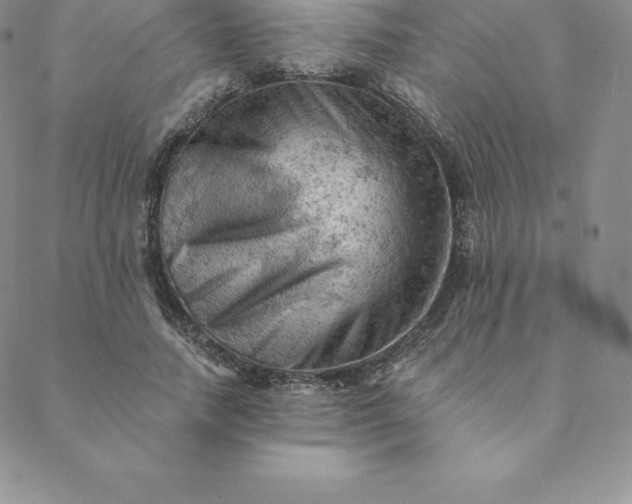 X0000088650738200706081637