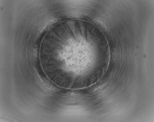 X0000088650739200706081637