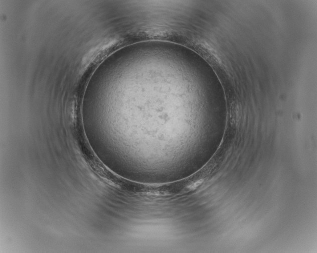 X0000088650740200706081637