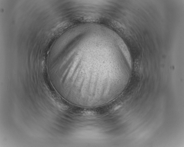 X0000088650741200706081637