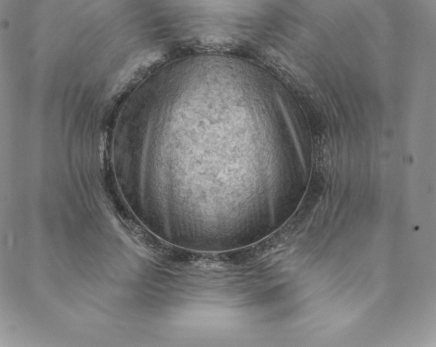 X0000088650742200706081637