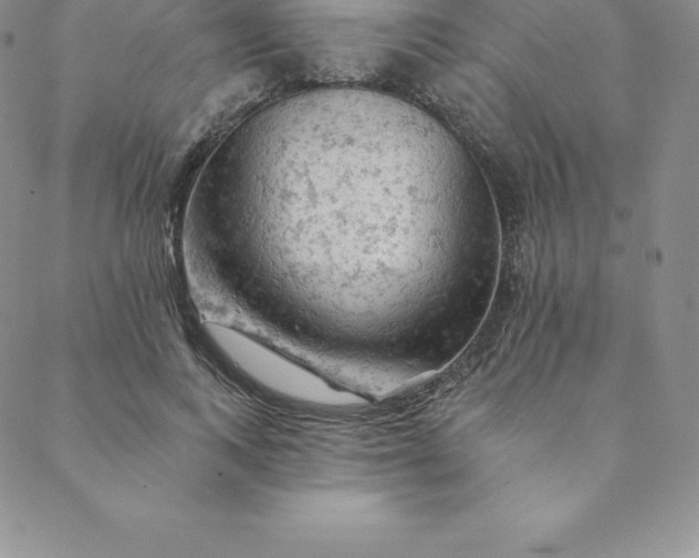 X0000088650743200706081637