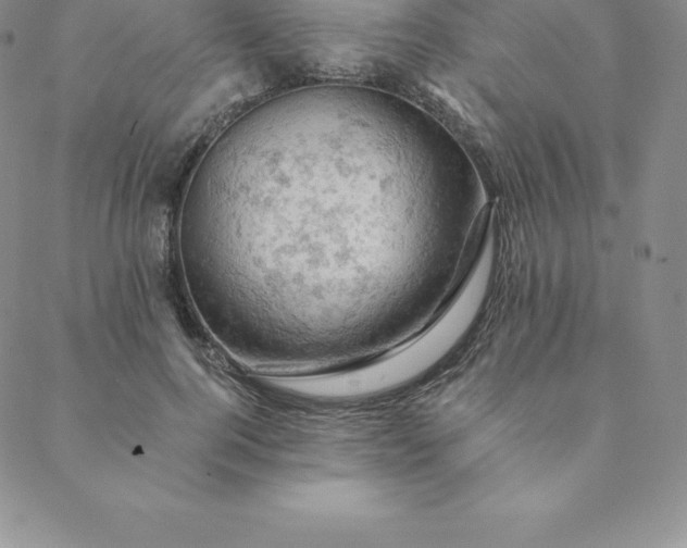 X0000088650744200706081637