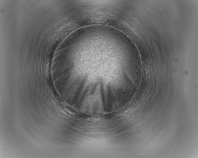 X0000088650745200706081637