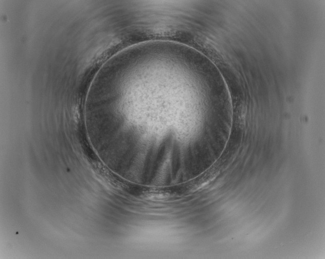 X0000088650746200706081637