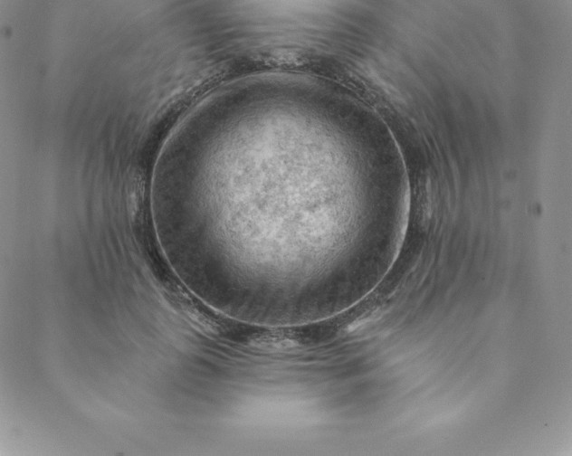 X0000088650747200706081637