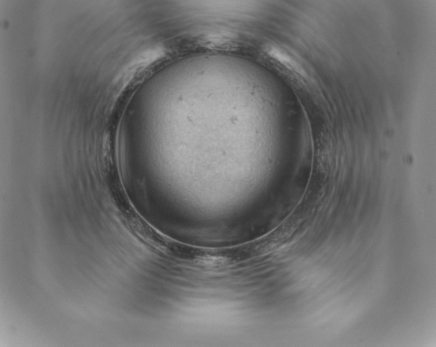 X0000088650748200706081637