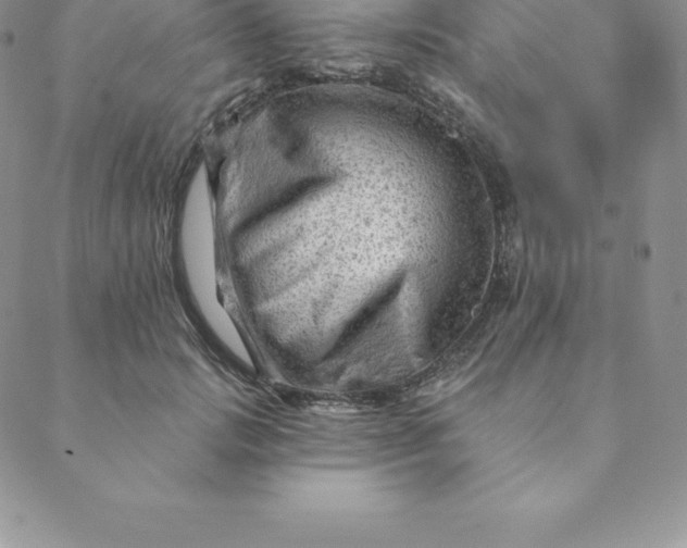 X0000088650749200706081637