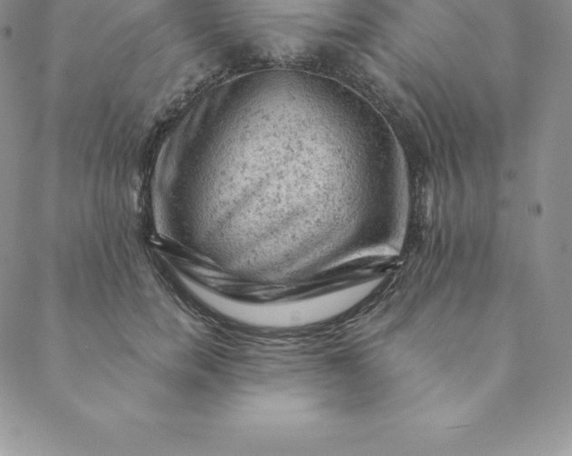 X0000088650750200706081637