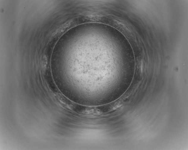 X0000088650752200706081637