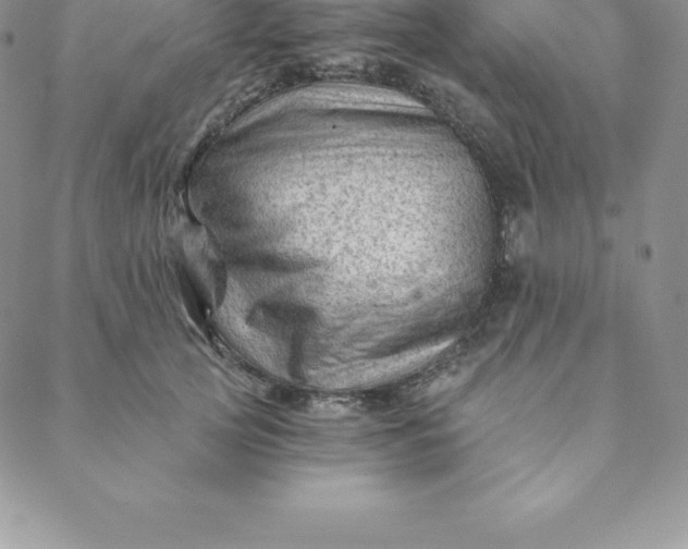 X0000088650753200706081637