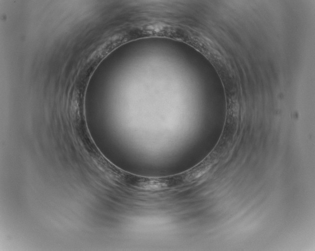 X0000088650754200706081637