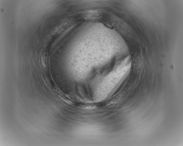 X0000088650755200706081637