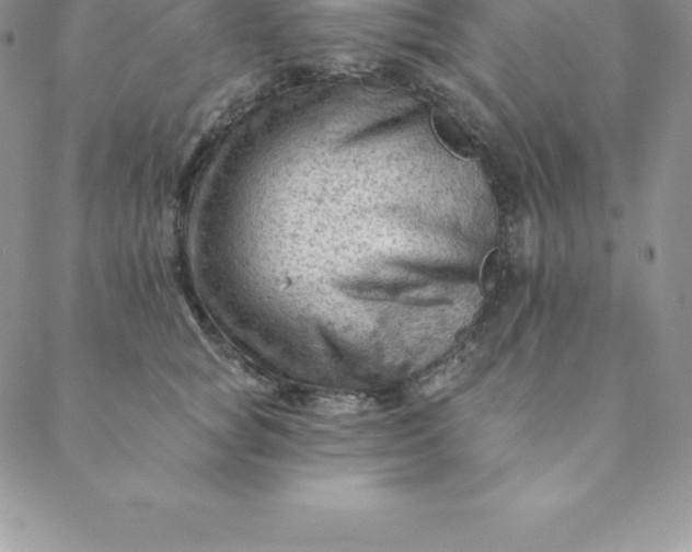 X0000088650757200706081637