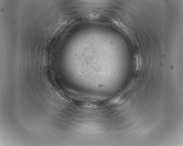 X0000088650760200706081637