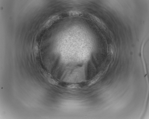 X0000088650761200706081637