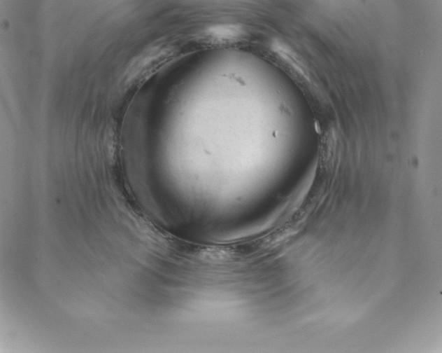 X0000088650762200706081637