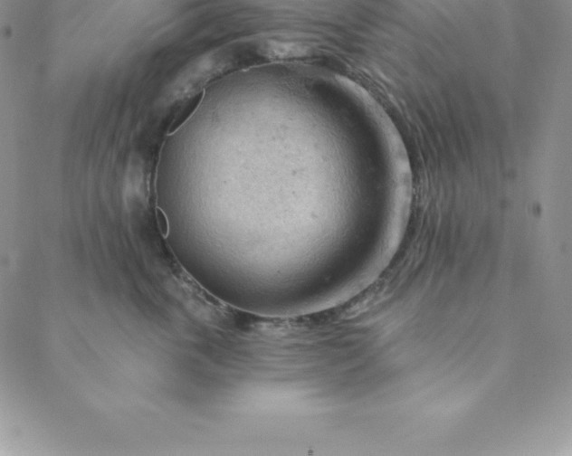 X0000088650763200706081637