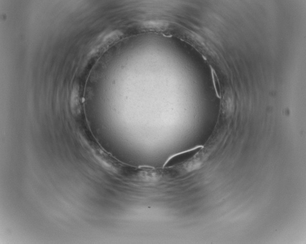 X0000088650764200706081637