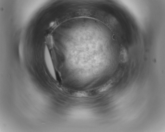 X0000088650765200706081637