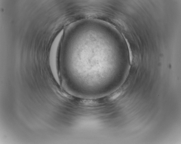 X0000088650766200706081637