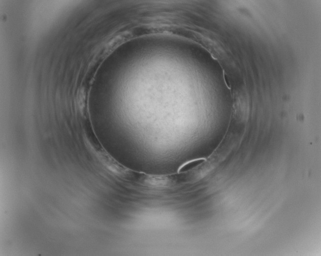 X0000088650767200706081637