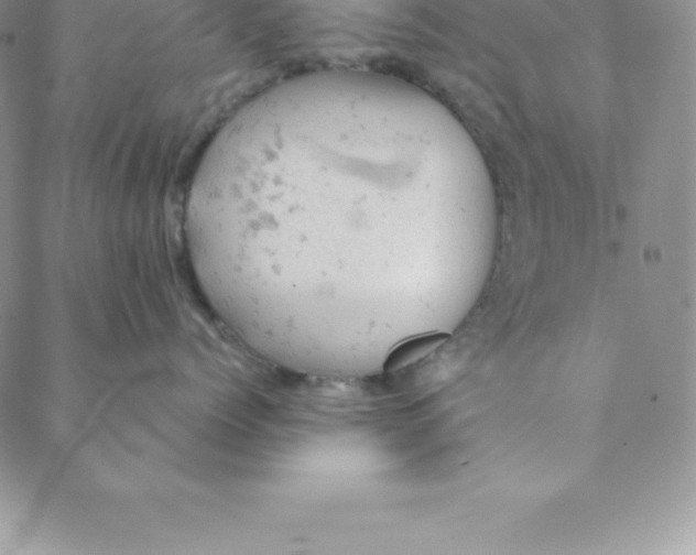 X0000088650768200706081637