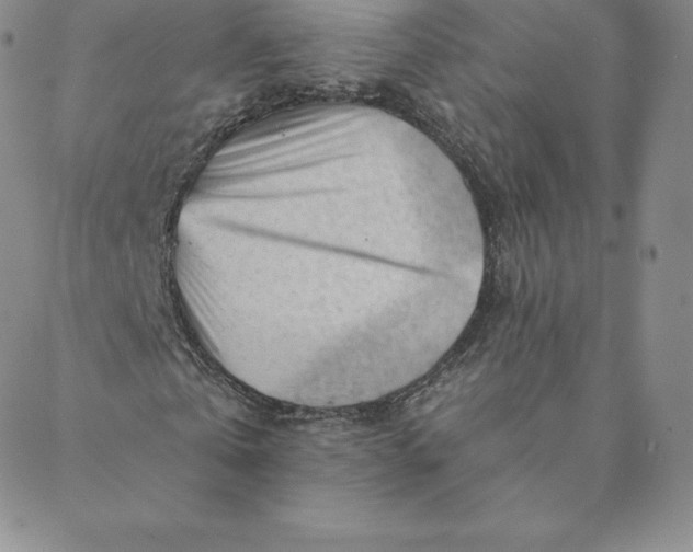 X0000088650769200706081637